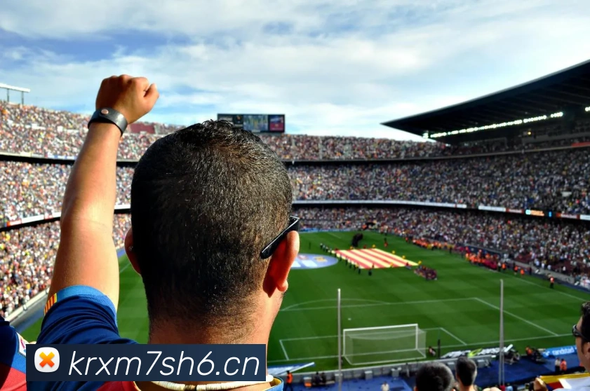 开云官方登陆入口APP 封面图